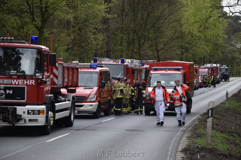 Waldbrand Wahner Heide Troisdorf Eisenweg P241.JPG - Miklos Laubert